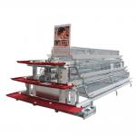 Automatic Farm A Type Layer Chicken Cage With Poultry Drinking System for sale