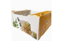 China PP Plastic	Fruit Packaging Boxes Hollow Plate Turnover Box Anti Static supplier