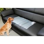 Indoor FLEXIBLE MAT Dog Training Aids Convenient Storage Dog Cat Training Mat for sale