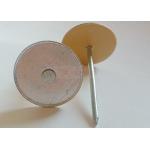 Galvanized Steel 2 Cup Head Pins With Paper Washer For Securing Insulation