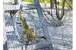 China AISI316 Inox Zoo Wire Mesh Transparent Zoo Aviary Netting Weather Resistant supplier