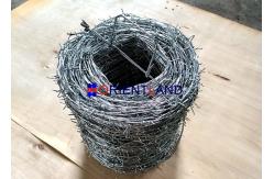 China Hot Dipped Galvanized Barbed Wire for Mesh Security Fencing supplier