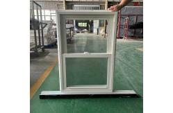 China Vertical Double Hung Window Customized and Durable Powder Coating for Business supplier