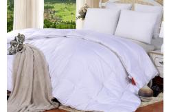 China Baffle Boxes 25% White Feather Duck Down Duvet supplier