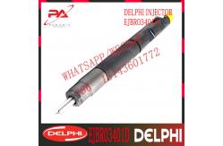 China A6640170021 DELPHI Common Rail Injector supplier