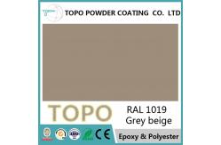 China RAL 1019 Electrostatic Powder Coating , Architectural Aluminium Polyester Powder Paint supplier