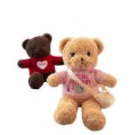 30cm Stuffed Teddy Bear Plush Toys With Backpack Girl'S Birthday Present Customized for sale