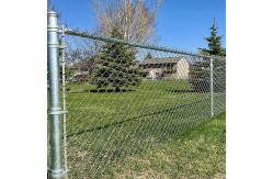 China 8 Foot Waterproof hot dipped Galvanized Plastic Coated Chain Link Fence supplier