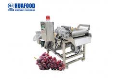 China SUS304 Fruit And Vegetable Washing Machine Grape Cleaner Machine supplier