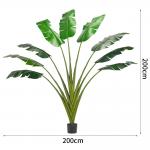 200cm Traveller'S Palm Artificial Landscape Trees For Low Maintenance Evergreen Plants for sale
