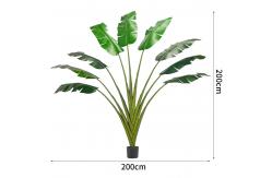 China 200cm Traveller'S Palm Artificial Landscape Trees For Low Maintenance Evergreen Plants supplier