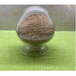 Clostridium butyrate Feed Probiotics For Broiler for sale