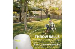 China Best Electronic Interactives Automatic Dog Ball Launcher Toys supplier