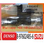 Lightweight 8-97602485-6 095000-5504 DENSO Engine Injector