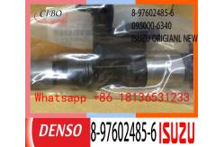 China Lightweight 8-97602485-6 095000-5504 DENSO Engine Injector supplier