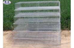 China Metal Quail Breeding Cages 15 Years Lifetime with 3 Years Warranty supplier
