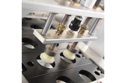 China High Efficiency Coffee Capsule Packing Machine Six Lanes  80-100 Cups / Min supplier