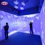 Seamless Projection Experience Holographic Immersive Projection For Bars