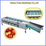 Nectarine cleaning and grading machine, nectarine cleaning sorting machine for sale