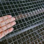 1/2X1/2 Galvanized Welded Wire Mesh Rolls For Garden Fence for sale