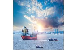 China International Sea Freight LCL FCL From China To Belgium Forwarding supplier