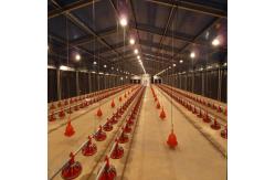 China Fireproof Steel Structure Poultry House Automated Ventilation Steel Frame Chicken Coop supplier