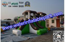 China Indoor and Outdoor Inflatable Bouncy Castle with Slide supplier