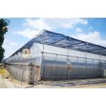 Commercial Multi Span Plastic Agricultural Greenhouse With Polyethylene Cover for sale