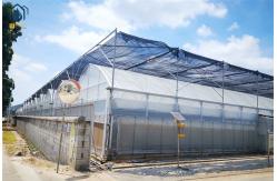 China Commercial Multi Span Plastic Agricultural Greenhouse With Polyethylene Cover supplier