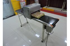 China High Capacity Egg Date Stamp Machine With Large - Scale Integrated Circuits supplier