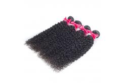 China Curly Texture Brazilian 7A Virgin Hair , Wet And Wavy Virgin Hair Bundles Extension supplier