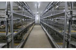 China ISO Broiler Chicken Cage System Custom Poultry Broiler Cage For Poultry Husbandry supplier