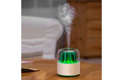 China Spraying 200ml Cool Mist Humidifier And Diffuser Aroma LED Night Light Essential Oil supplier