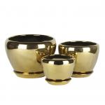 Stylish And Functional Ceramic Pots For Gardening And Landscaping Needs