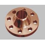 300 Pressure Rating Copper Nickel Flange with Pallets Packaging for sale