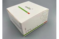 China 15 Minutes COVID-19 Test Kit Antigen Rapid Test Kit Colloidal Gold supplier