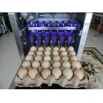 60W Egg Marking Equipment Thermal Foam Type With 1-4 Printing Lines for sale
