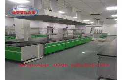 China Customizable Fire Resistant Chemistry Lab Benches with Multi Cabinets and Excellent Customer Service supplier