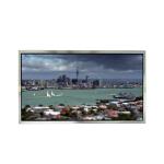 NE180QAM-NZ1 Original 18.0 inch 240Hz LCD Display Screen for sale