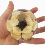 Nature Clear Flower Paperweight , Resin Floral Paperweight Ball for sale