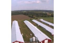 China Customized Modern Steel Structure Chicken House Layer Cage For Chickens Poultry Farm supplier