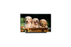 China B140QAN01.1 14.0 inch 2560*1440  TFT-LCD SCREEN PANEL supplier