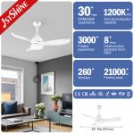OEM ABS Blades Remote Control Reversible Motor Ceiling Fan With Light