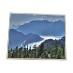 19.0 Inch LCD Display Module HSD190MEN4-A00 TFT LCD Screen Module for sale
