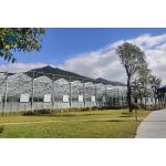 Large Size Glass Multi Span Greenhouse Structure Agricultural Tomato Farming Greenhouse for sale