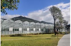 China Large Size Glass Multi Span Greenhouse Structure Agricultural Tomato Farming Greenhouse supplier