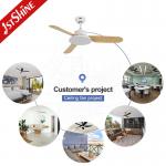 Hotel Choice ABS Blades Smart WiFi Control Remote Control Ceiling Fan by 1stshine