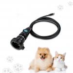 USB Portable Endoscopy Camera On Computer/Laptop For Pet Checking ENT Dr Manufacturer for sale