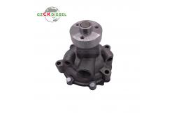 China Water Pump 8013363 99454833 for TN65 TN65D TN65F Engine supplier