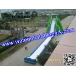 Giant Inflatable Water Slide For Adult , Hippo Inflatable Slide In Amusement Park for sale